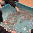 당진 아이와 가볼만한곳 파충류를 만져볼 수 있는 이색카페 슈퍼드래곤