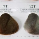 카멜레온헤어샵 네이버블로그