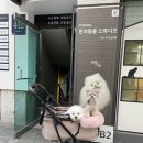 주주동물종합병원 이미지