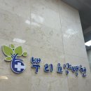 예진요양병원 | 인천 가다실9 가장 저렴한 곳 '뿌리요양병원' 3차 가격 통증 주차 후기