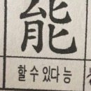 한시도 가만히 있지않는 성인ADHD 리무의 일상모음
