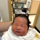 행신준재활의학과의원 | 신생아 좌측근성사경 재활치료[feat.임신영 사경사두 재활의학과] 내돈내산 후기