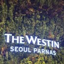 머큐리투어 | W.웨딩홀투어(1) 웨스틴 서울 파르나스 투어 후기 / 27년 1월 예식(견적공유O / 계약O)