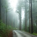 소나무무인호텔 이미지