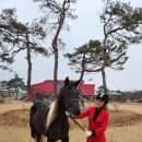 소프라승마클럽