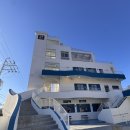 매일관광주식회사 | 강릉맛집 강릉샌드 본점 다녀온 후기 강릉 기념품 간식 추천