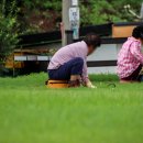 [야은 길재 선생의 유적을 찾아서2] 구미 지주중류비에 새긴 불사이군의 충절
