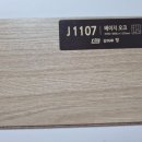 J1107 이미지