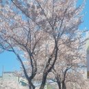 윤이엔지 이미지