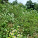 소산스테이 이미지