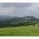 삼양목장 이미지