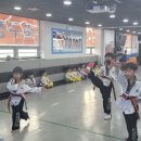 용인대 블랙벨트 태권도 이미지