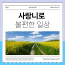 아르미치과의원 이미지