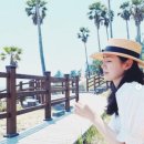 강남-278 이미지