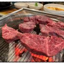 참토우 이미지
