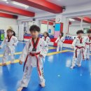 자란다 태권도장 이미지