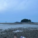 수산물직판장11호 이미지