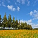 갯골생태공원(인포센터) 이미지