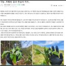 상술농장 네이버블로그