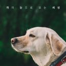 눈으로보는세상 이미지