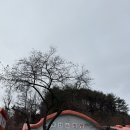 온천로(도산면) 이미지