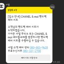 골드백 | 샤넬 기습 인상 전 구매 성공! 샴페인골드 베니티백 시즌백 구매 후기