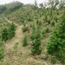 곡성-195 이미지