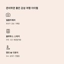 스테이세렌디피티 티스토리