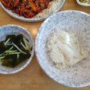 낙지의 품격 이미지