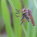 풍산공원 이미지