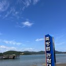 [지족마을]죽방렴고기잡이