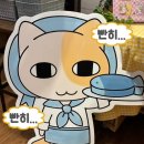 드플랑 이미지