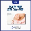 생각나는이비인후과의원 이미지