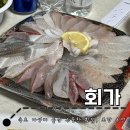 두툼횟집 | 속초 두툼한 횟감과 가성비 훌륭한 횟집 포장 후기 : 회가