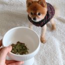 한미사료 이미지