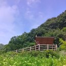 좌구산자연휴양림 이미지