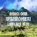 점박이 농장 | 하와이 자유여행 &#39; 쿠알로아랜치 &#39; 후기 / 줌줌투어 하와이 와이키키 볼거리 시간 무비투어 내돈내산...