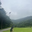 한여름에 2부 첫 티 칠 수 있는지 생체실험 후기 - 큐로cc 라운딩 후기(구.큐로 현.로제비앙)