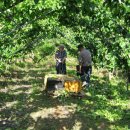 은식농장 이미지