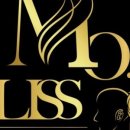 모블리스 이미지