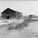 갯골생태공원 이미지