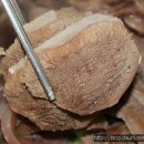 장안설렁탕 이미지