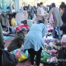 하남-신장-신장13호 이미지