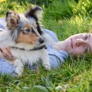 연극으로 배우는영어 이미지