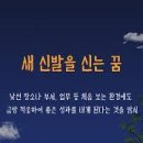 신발나오는꿈 신발 꿈 신발 관련 꿈 신발을 얻은 꿈 신발 관련꿈 해몽 이미지