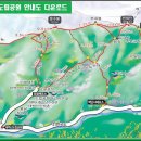 2025년 01월05일 강원도 태백산(1,567m)신년산행~~ 이미지