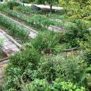 카페 자유시간 이미지