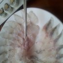청솔횟집 이미지