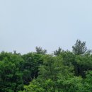 (주)보성상사