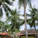 승우농장 | 6세 아이와 보홀 여행! 2박3일 오셔니카(구 사우스팜)리조트 디럭스 풀 뷰